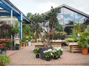 Hayes Garden Land Symington | Ayrshire’s Garden Centre & Cafe