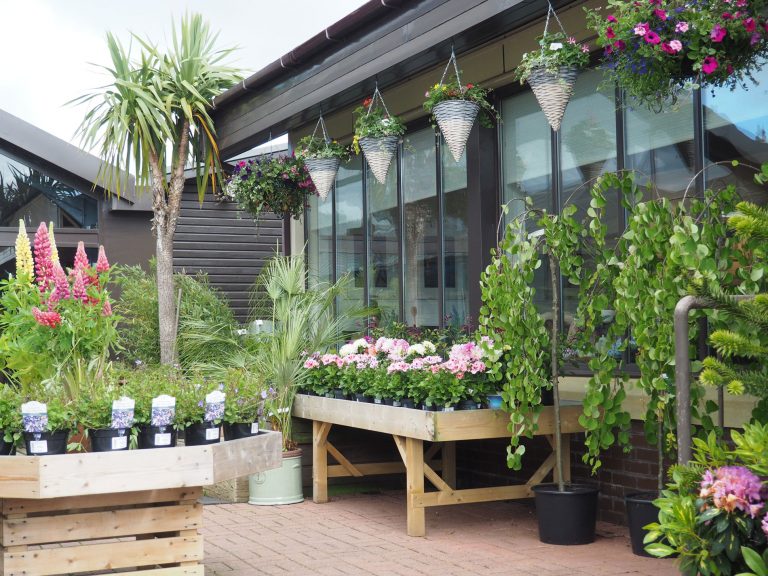 Hayes Garden Land Symington Ayrshire’s Garden Centre & Cafe